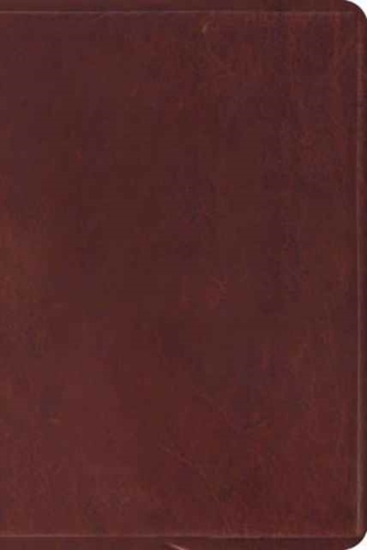 ESV Study Bible, Personal Size