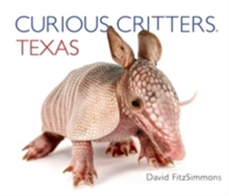 Curious Critters Texas