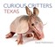 Curious Critters Texas
