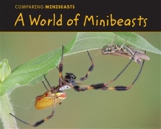 A World of Minibeasts