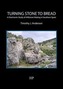 Turning Stone to Bread