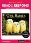 Owl Babies
