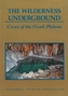 The Wilderness Underground