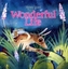 Wonderful Life
