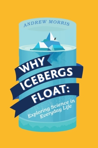 Why Icebergs Float
