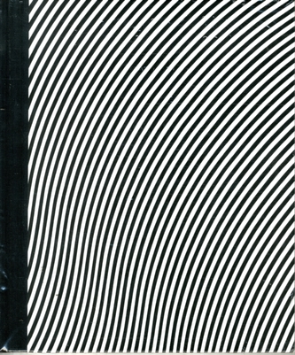 Bridget Riley