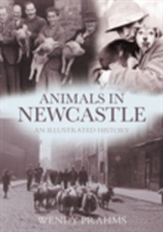 Animals In Newcastle