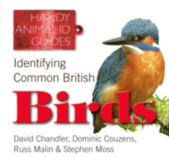 Identifying Common British Birds
