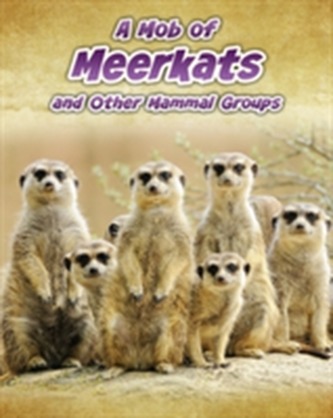 A Mob of Meerkats