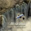 Africa Lens 20 Years of Getaway