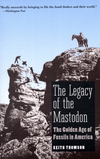 The Legacy of the Mastodon