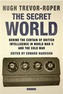 The Secret World