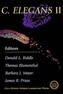 C.Elegans 2