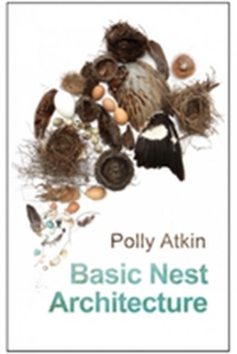 Basic Nest Architecture