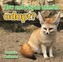 How and Why do Animals Adapt?
