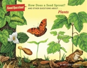 How Does a Seed Sprout?