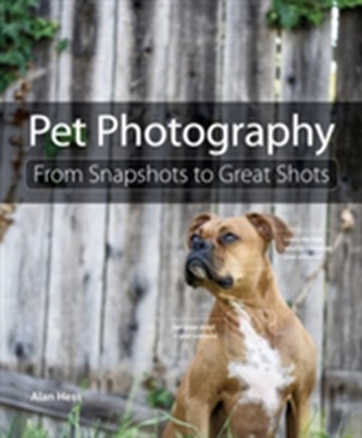 Pet Photography