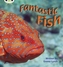 Fantastic Fish
