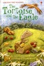 The Tortoise and the Eagle