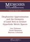 Diophantine Approximation and the Geometry of Limit Sets in Gromov Hyperbolic Metric Spaces