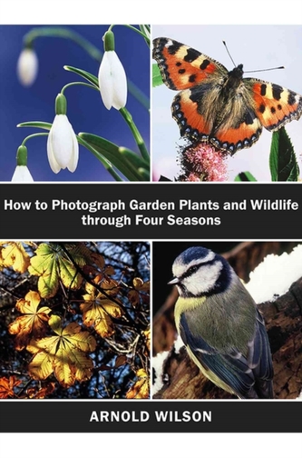 How To Photograph Garden Plants and Wildlife Through Four Seasons