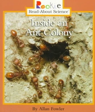 INSIDE AN ANT COLONY