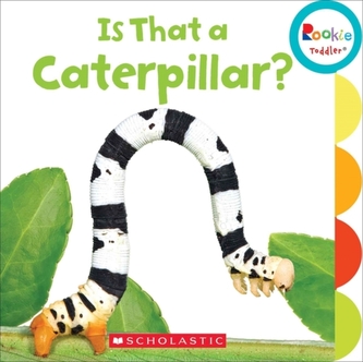 IS THAT A CATERPILLAR