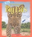 BIG CATS
