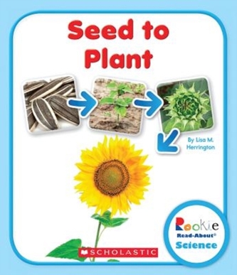 SEED TO PLANT