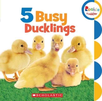 5 BUSY DUCKLINGS