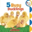 5 BUSY DUCKLINGS
