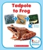 TADPOLE TO FROG