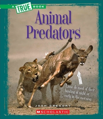 ANIMAL PREDATORS