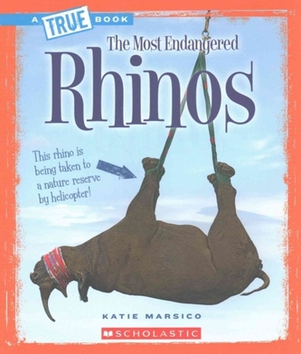 RHINOS