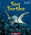 SEA TURTLES