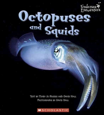 OCTOPUSES & SQUIDS