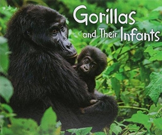 Gorillas and Their Infants