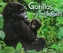 Gorillas and Their Infants
