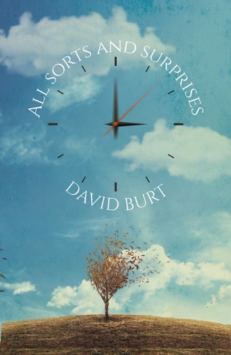 All Sorts and Surprises