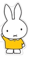 Miffy's Word Book