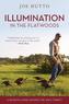 Illumination in the Flatwoods