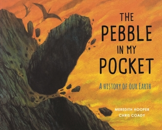 The Pebble in My Pocket