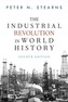 The Industrial Revolution in World History