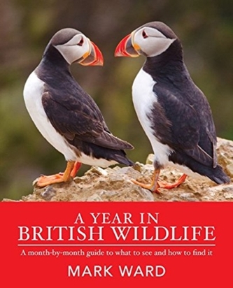 YEAR IN BRITISH WILDLIFE A