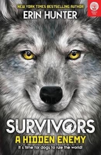 Survivors Book 2: A Hidden Enemy