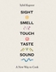 Sight Smell Touch Taste Sound