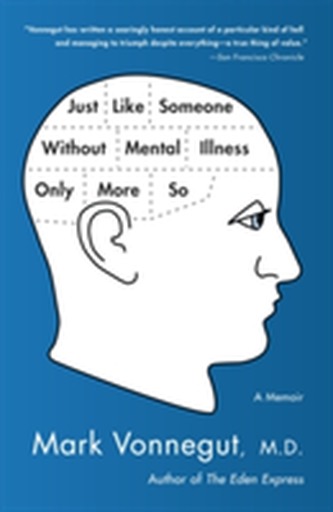 Just Like Someone Without Mental Illness Only More So