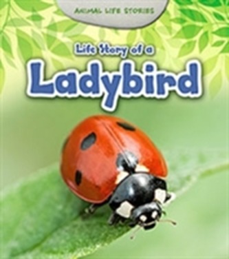 Life Story of a Ladybird