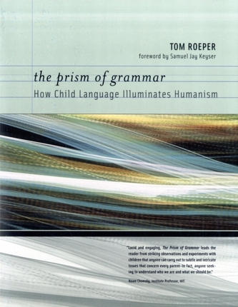 The Prism of Grammar