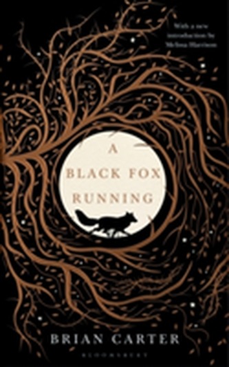 A Black Fox Running